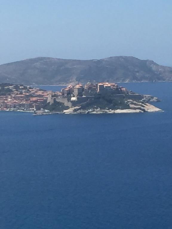 Calvi Au Soleil Apartment